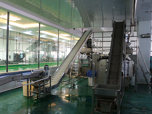 小米辣自動清洗上料機(jī)