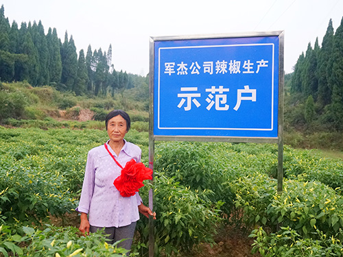 示范戶